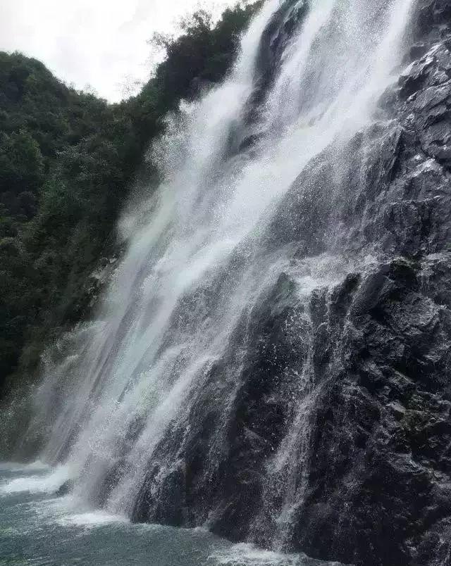 引球进框选关版
