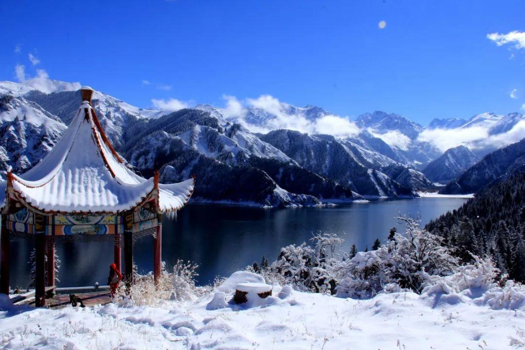 害怕恐惧症